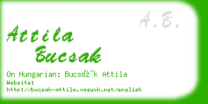 attila bucsak business card